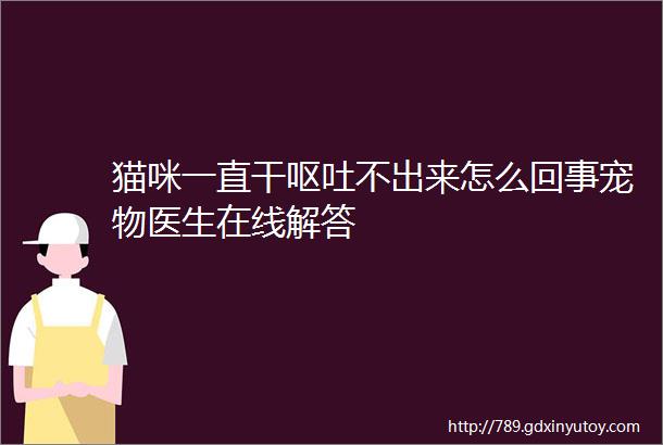 猫咪一直干呕吐不出来怎么回事宠物医生在线解答